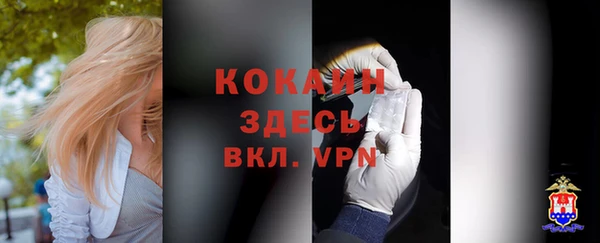 мескалин Богородицк