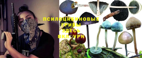 мескалин Богородицк
